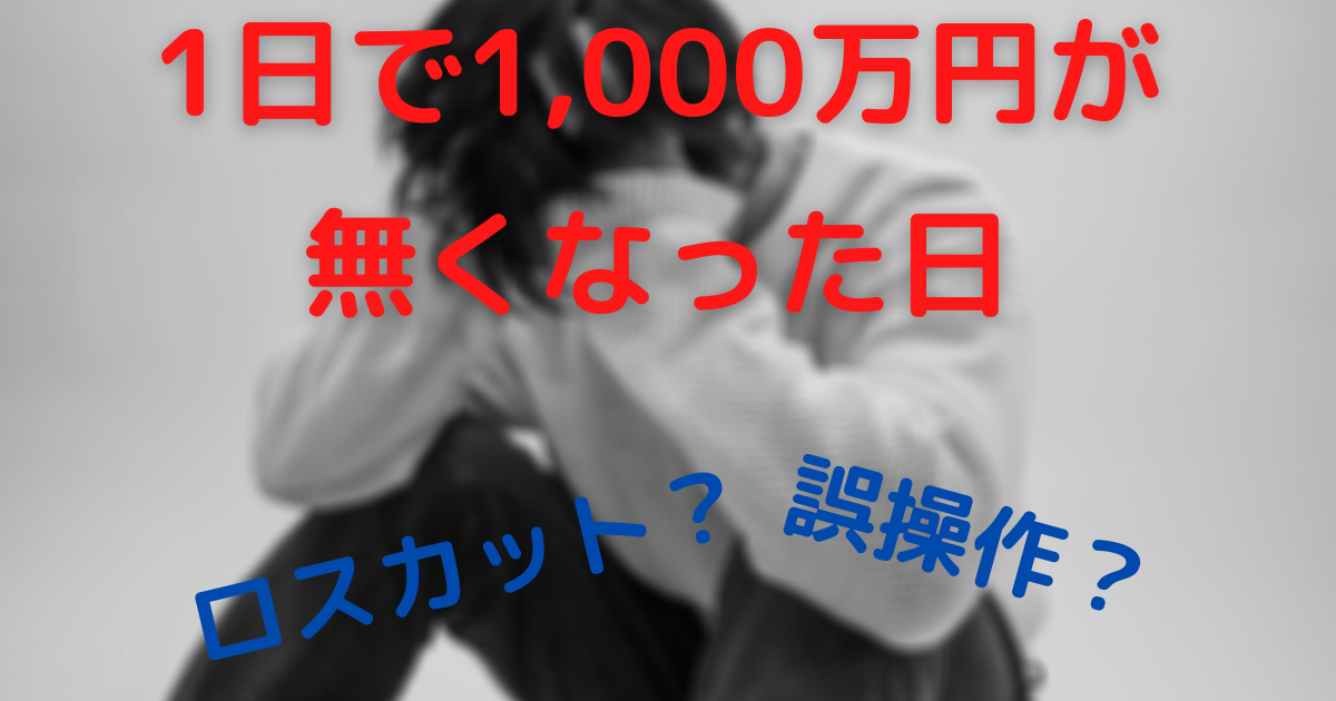 総額1 000万円 ロスカットへの道